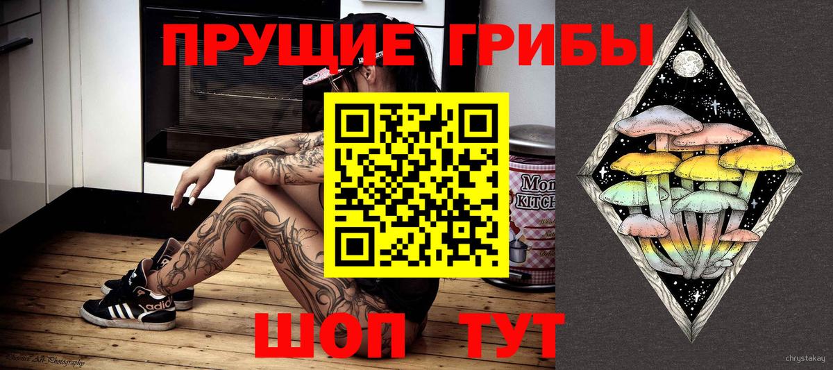 Псилоцибиновые грибы мицелий Орехово-Зуево